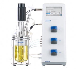 多功能臺(tái)式規(guī)模發(fā)酵罐及生物反應(yīng)器 — BioFlo 120